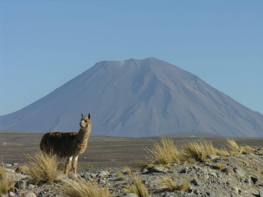 Vulcão Ampato, Reserva Salinas Blanca, no Peru.