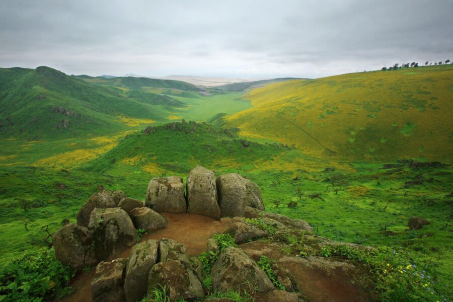 Lachay Natural Reserve