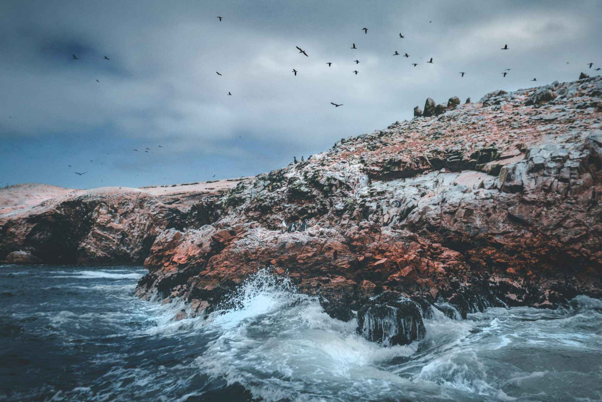 Paracas dentro de una experiencia de viaje
