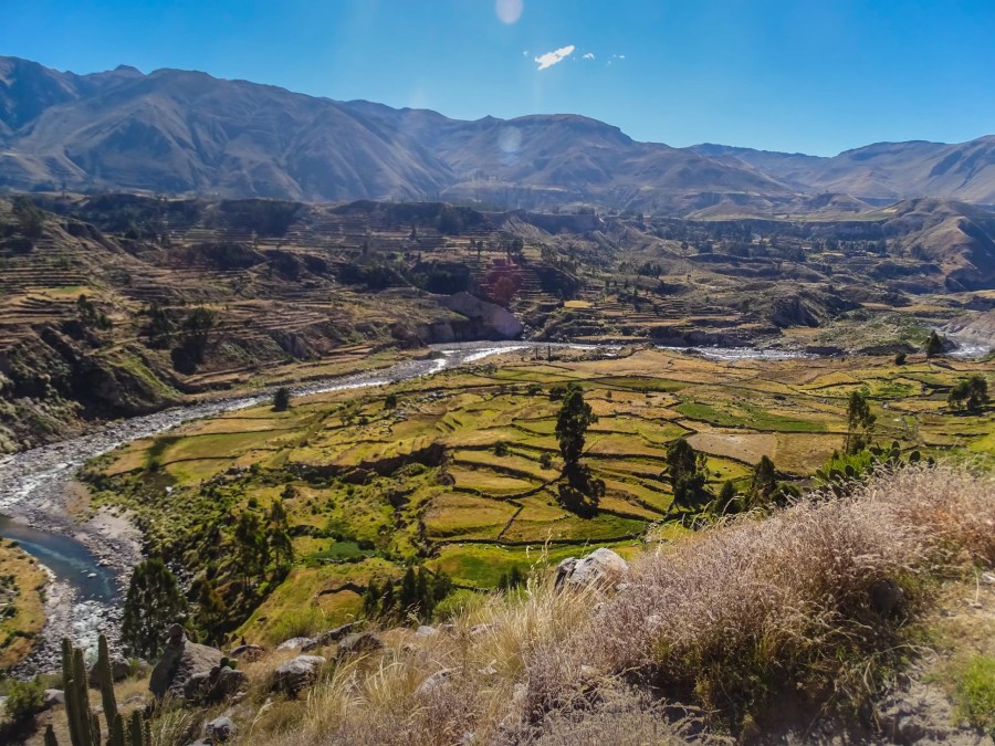 Cañon Del Colca