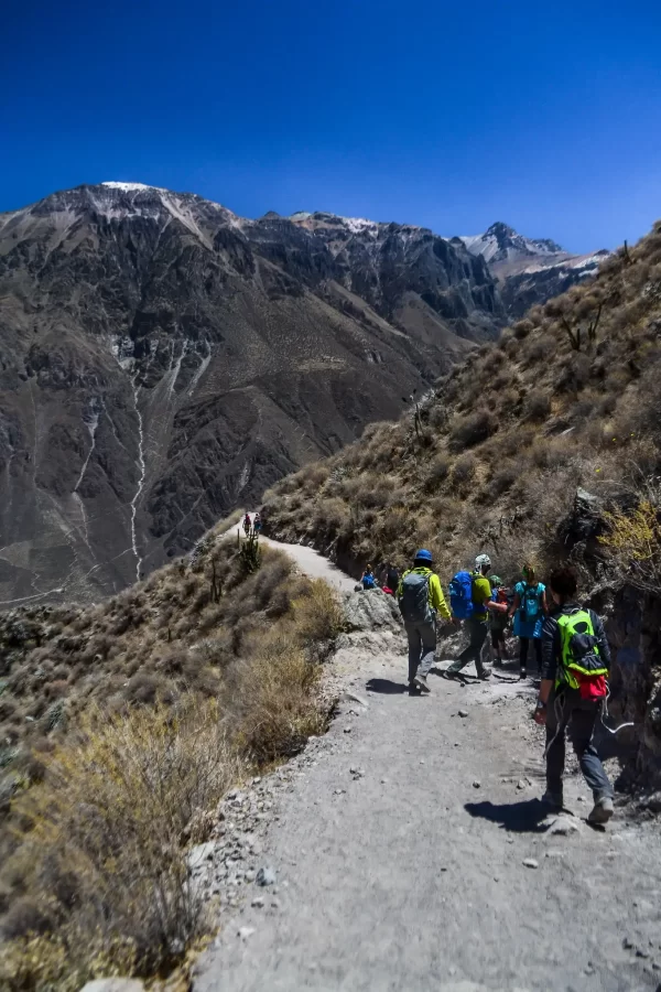 Trekking Cañón Del Colca (1)
