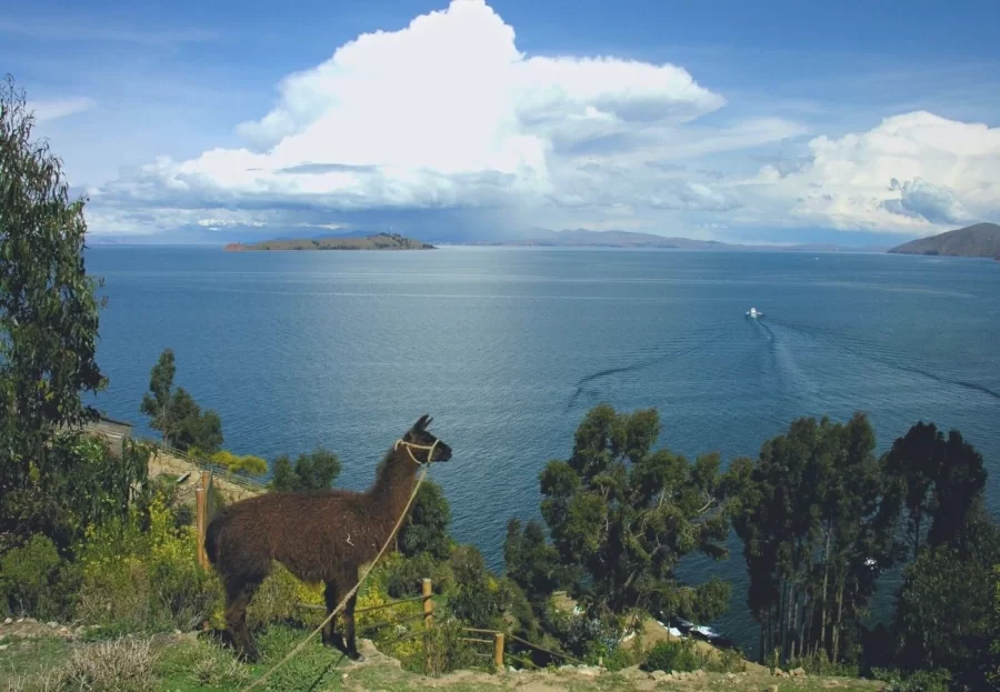 Lago Titicaca, Binacional