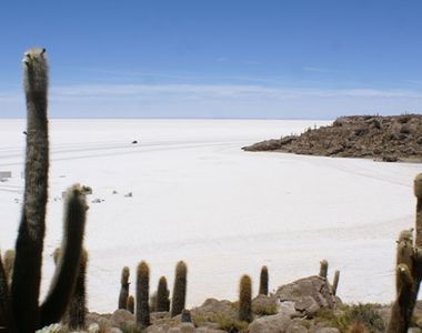 Salar Y Volcanes Bolivia Thumbail