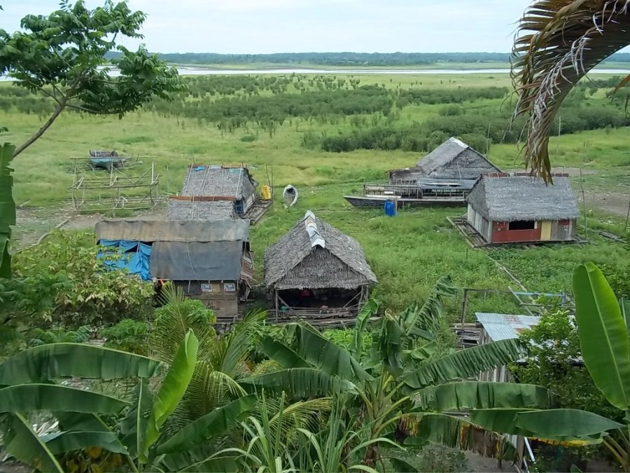 Selva Del Peru 1