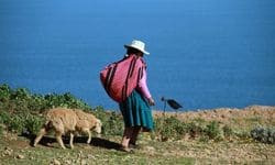 Puno