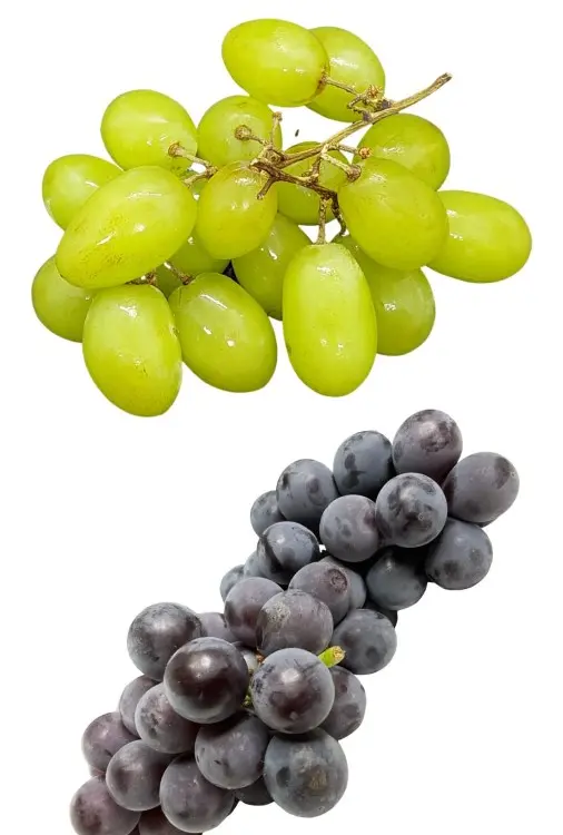12 Uvas