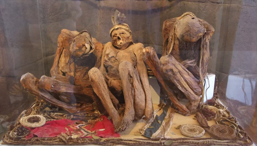 Momias En El Museo Carlos Dreyer