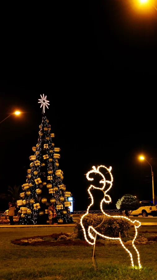 Navidad en Lima 506x900 - Christmas in Peru