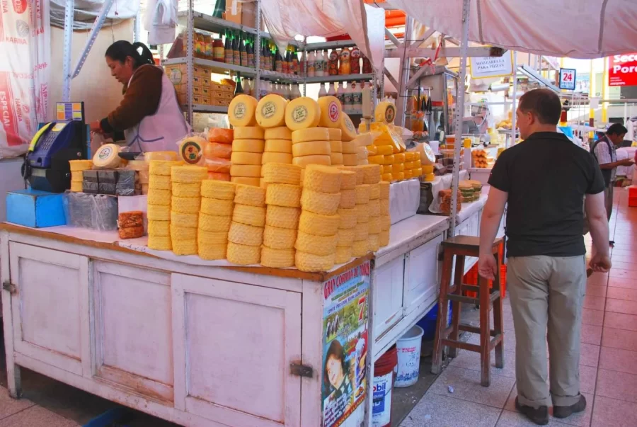 Variedade de queijo San Camilo