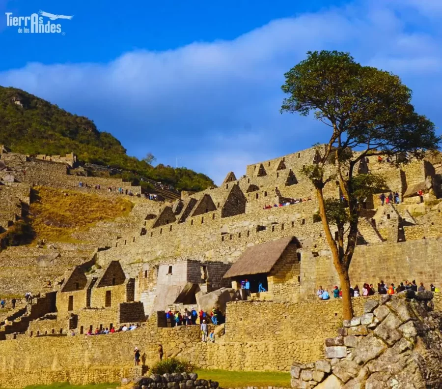 Architecture Of Machu Picchu
