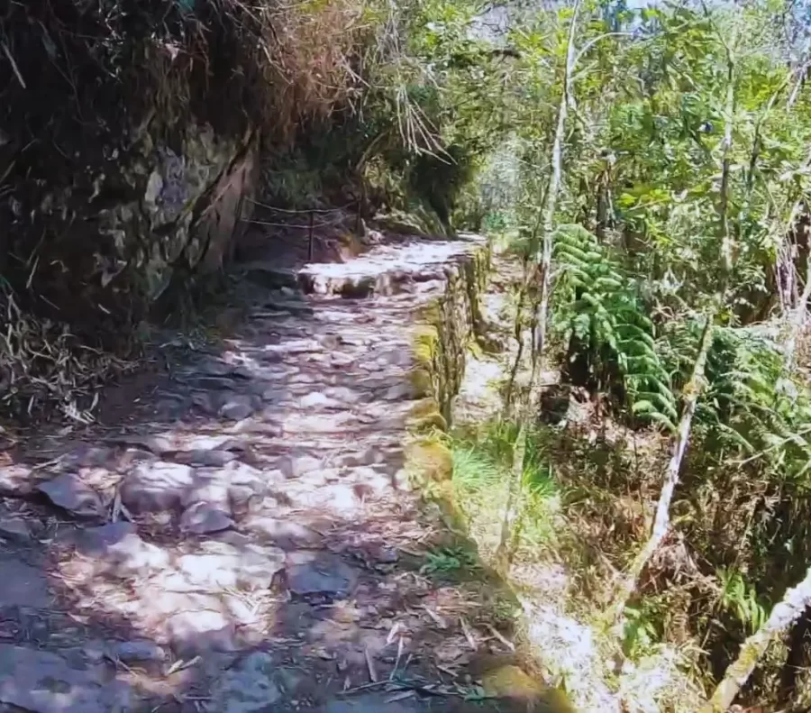 Camino Hacia Puente Inca