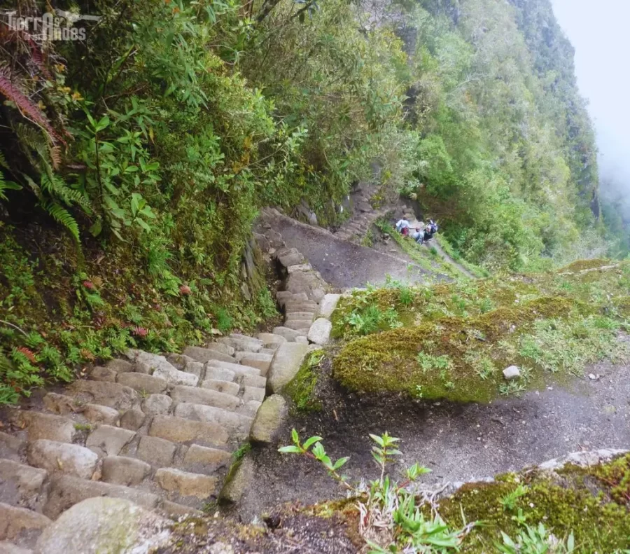 Descente du Huayna Picchu