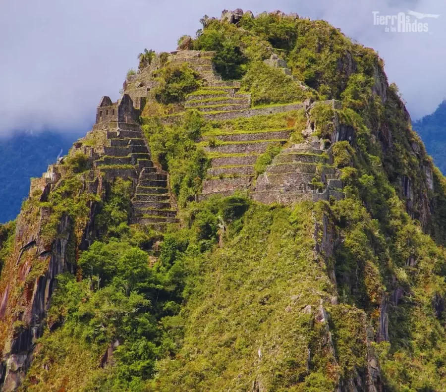 Plataformas de Huayna Picchu