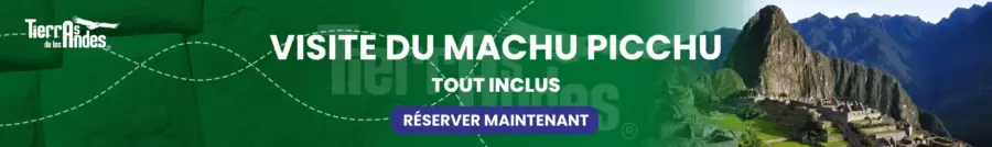 Machu Picchu En Une Journée