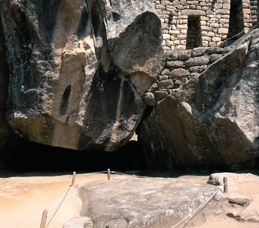 Base delle ali del condor andino