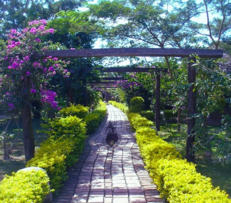 Jardin Botanico Santa Cruz