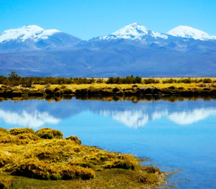 Parque Nacional De Sajama Bolivia