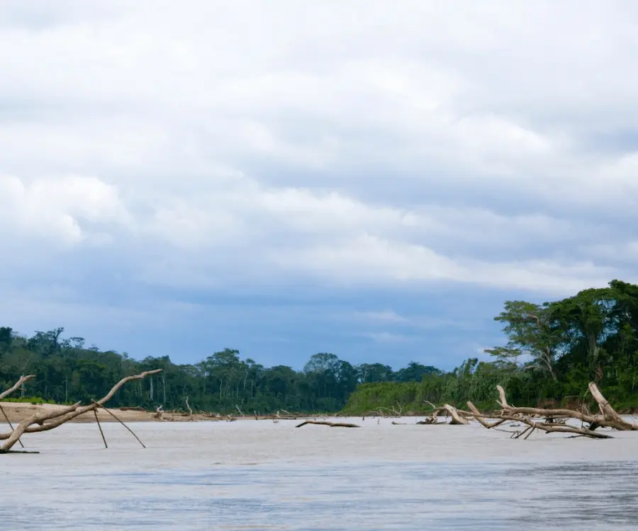 Rio Amazonas Manu