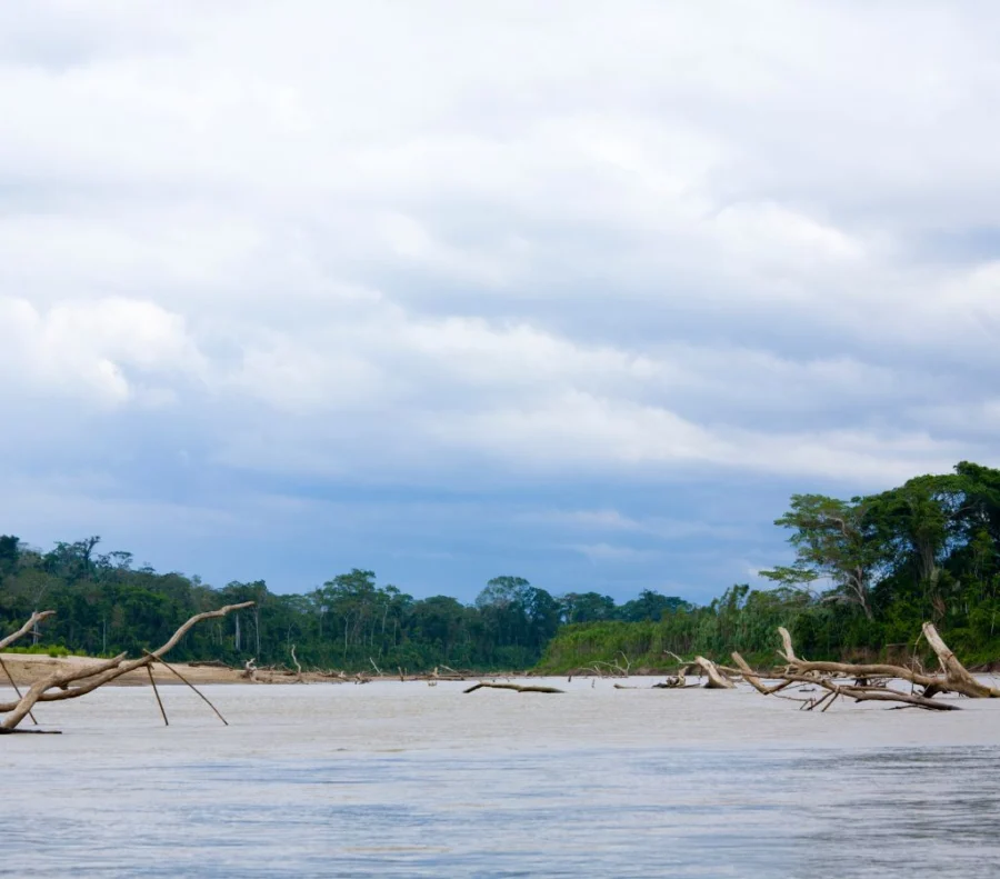 Rio Amazonas Manu