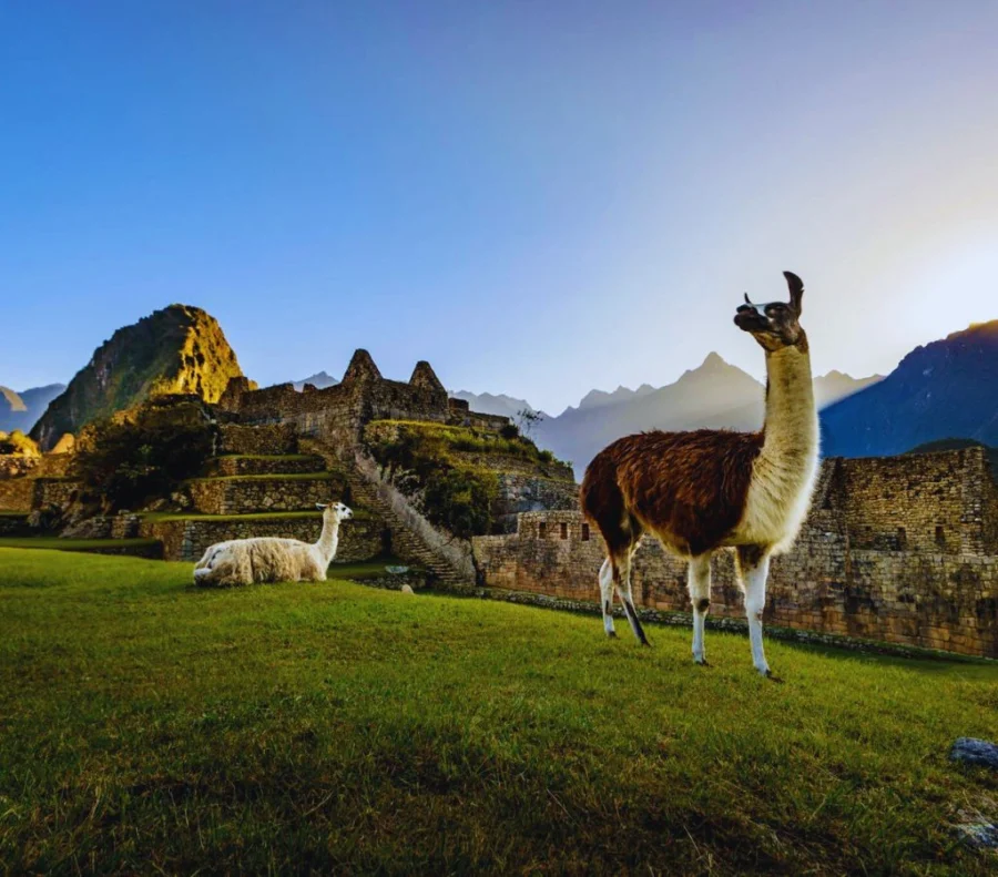Plaza Sagrada Machu Picchu 1