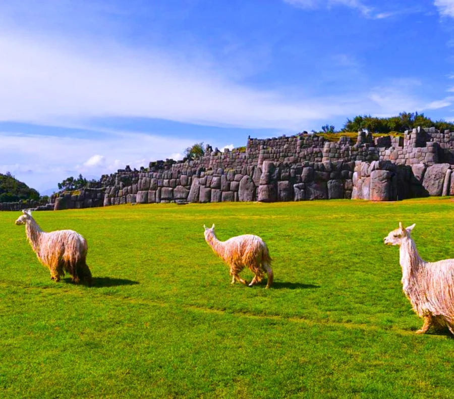 Vista De Sacsayhuaman