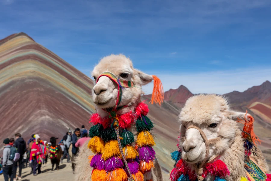 Montana Siete Colores Cusco