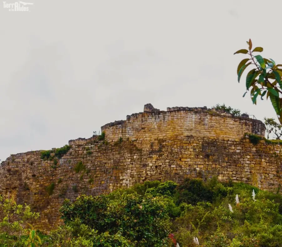 Muro De La Fortaleza De Kuelap