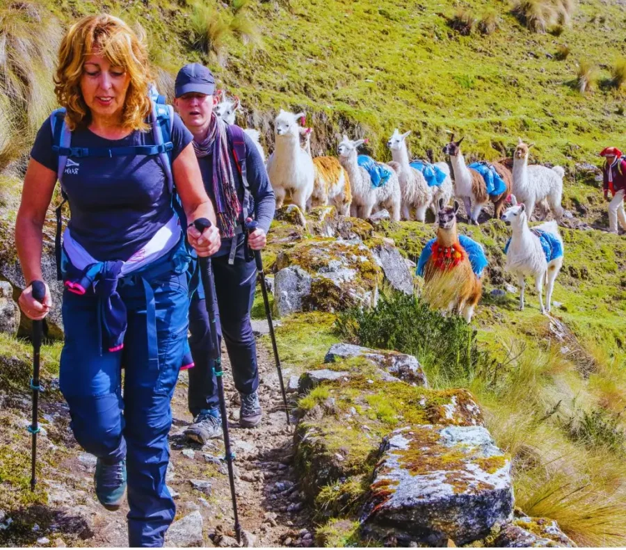 How To Choose A Trekking Adventure In Peru Terandes 2026