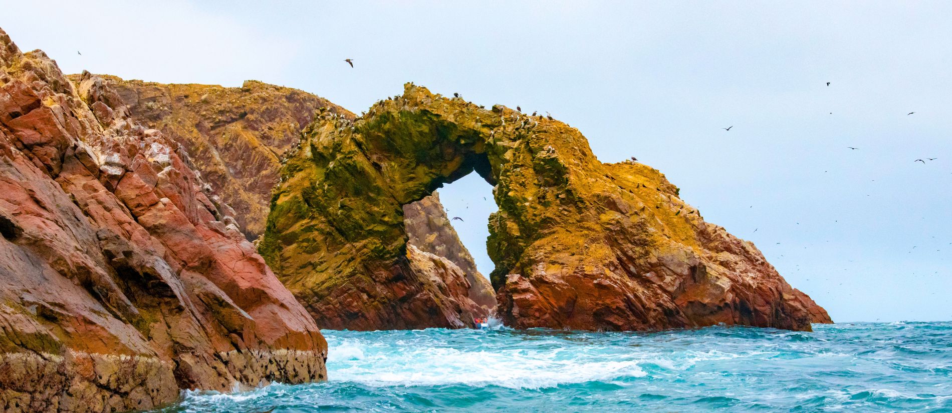 Islas Ballestas dentro de una experiencia de viaje