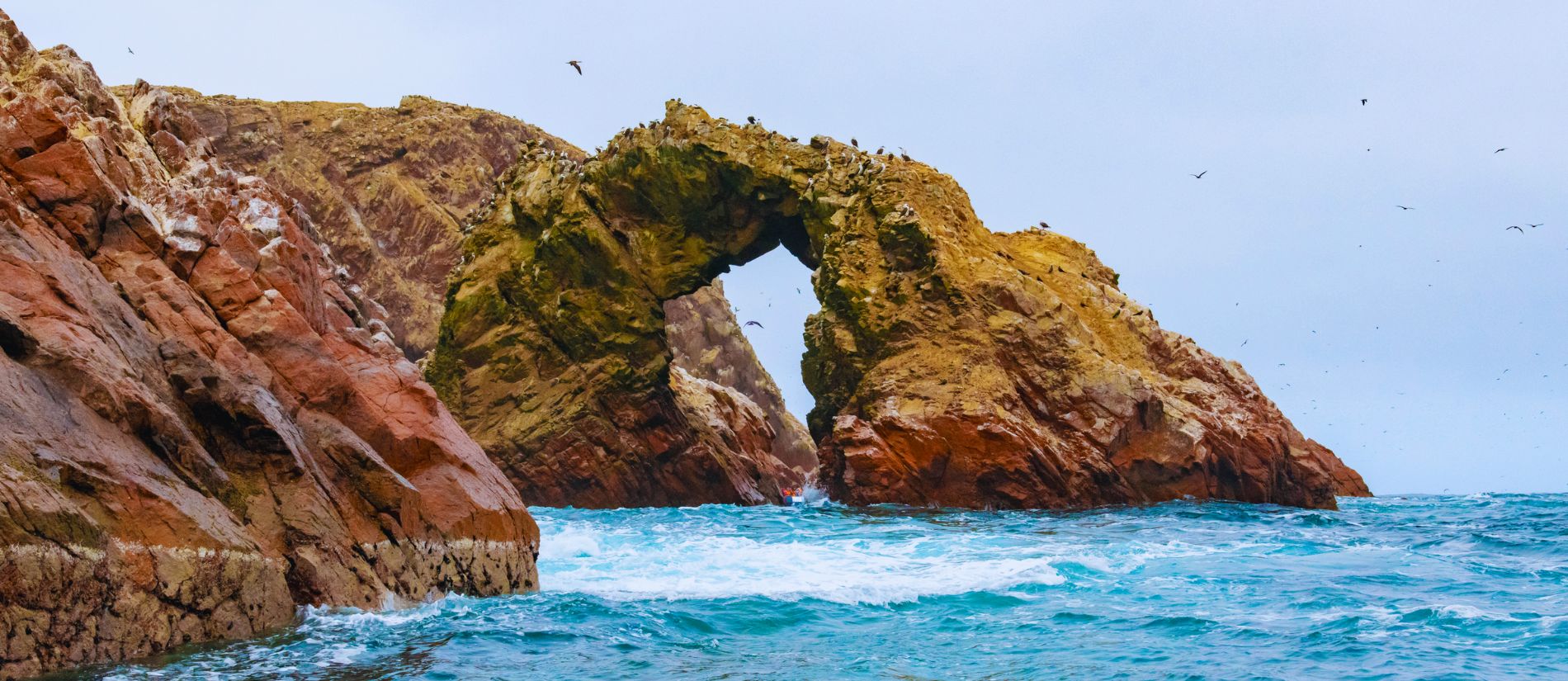 Islas Ballestas dentro de una experiencia de viaje