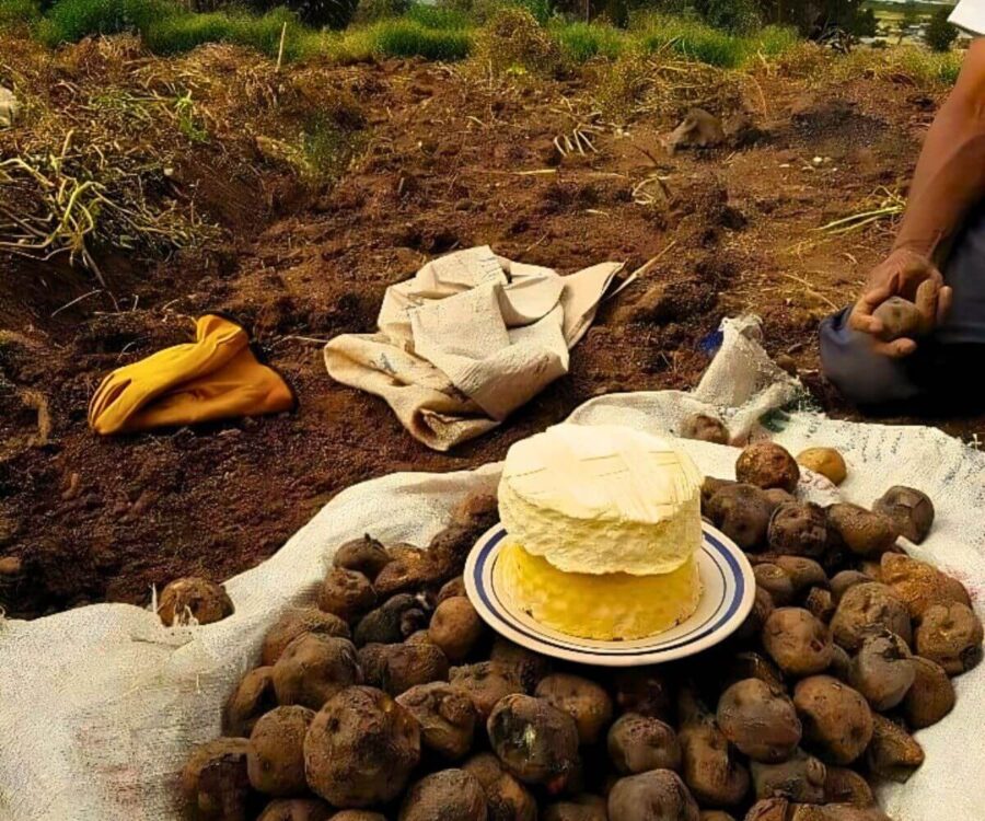 Huatía Un Mélange De Saveurs