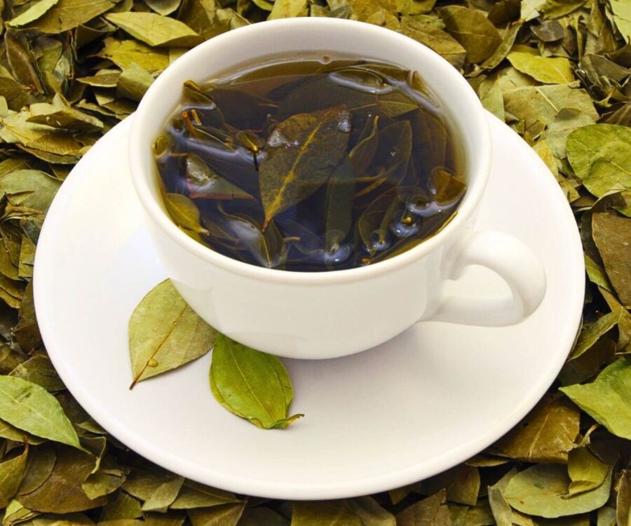 Peruvian Coca Tea