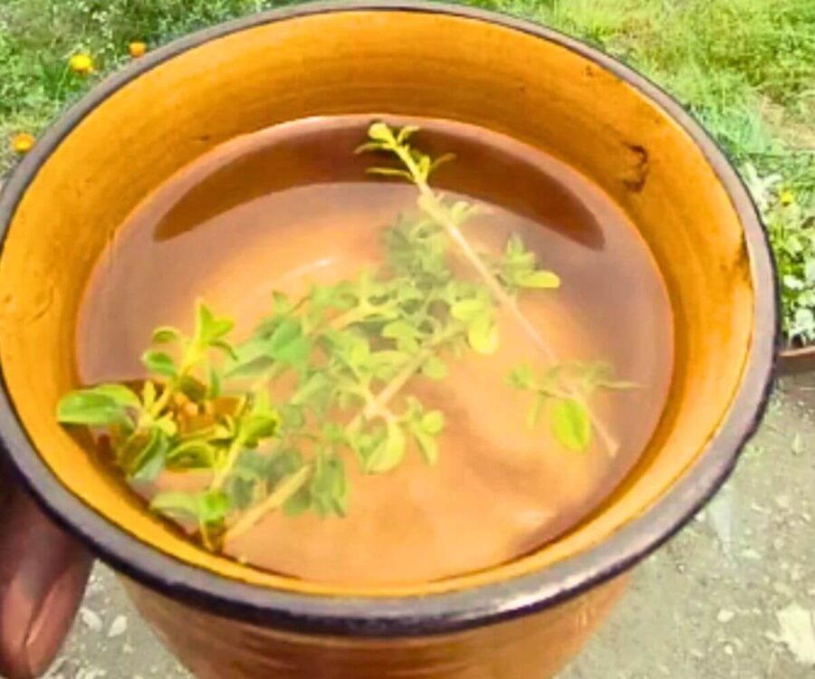 Tradicional Mate De Muña