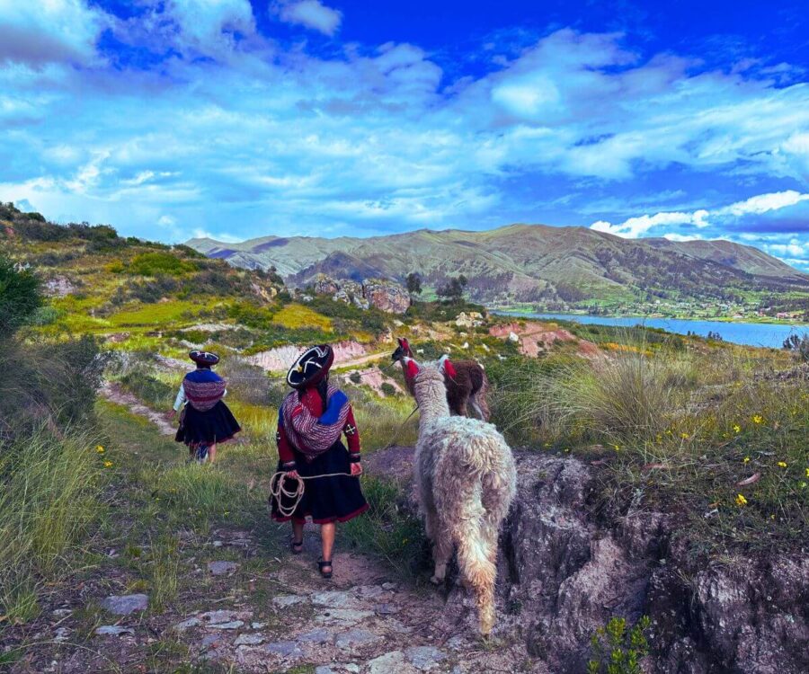 Trekking Con Llamas