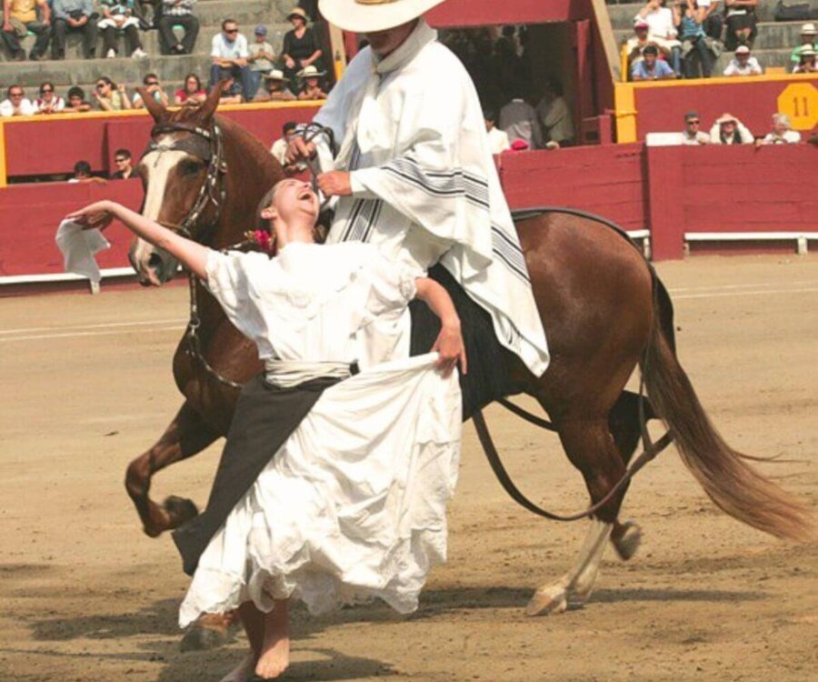 Cheval De Paso Avec Musique Et Danse