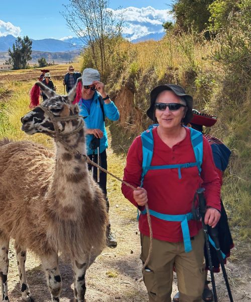 Trek Con Llamas