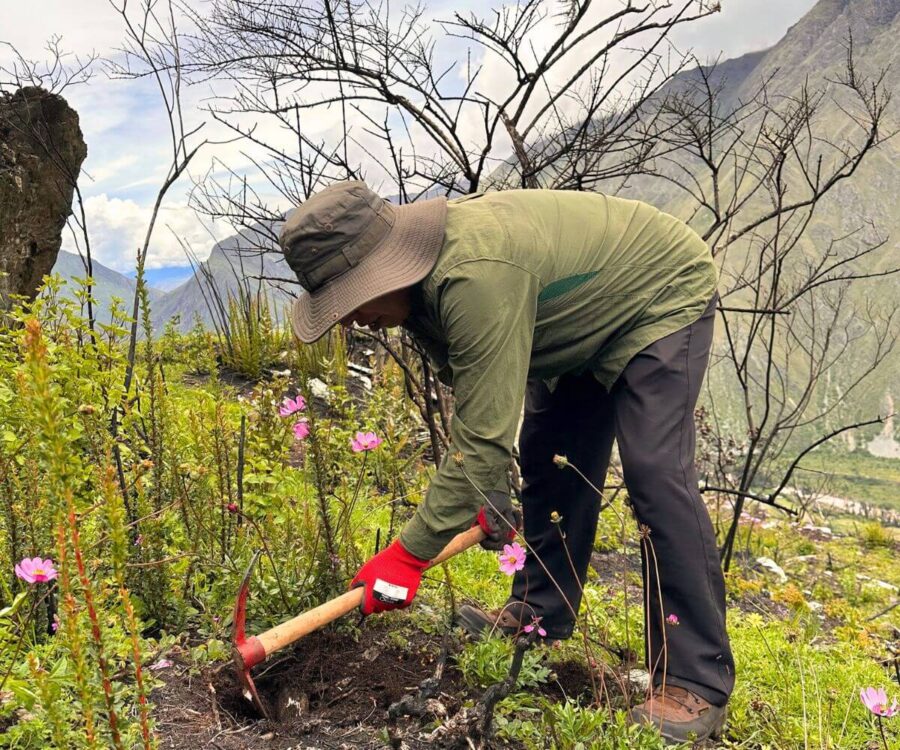 Equipo De Tierras De Los Andes