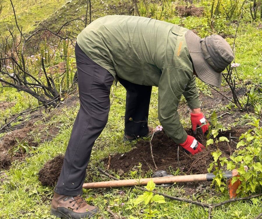 Plantando Una Vida