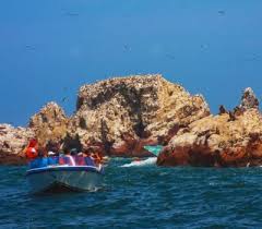 Islas Ballestas 10 Dias