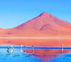 Laguna Colorada
