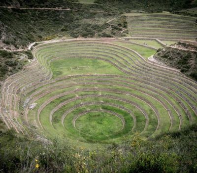 Maras Moray