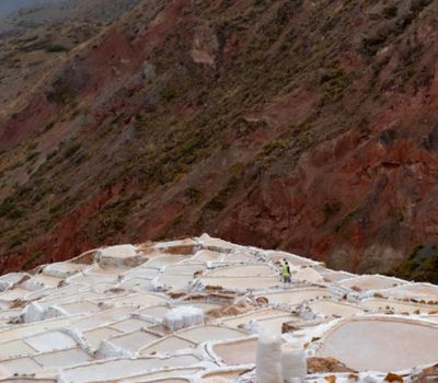 Maras