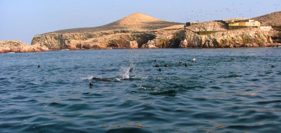 Islas Ballestas