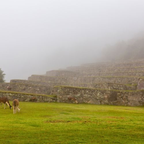 Machu Picchu Temporada De Lluvias
