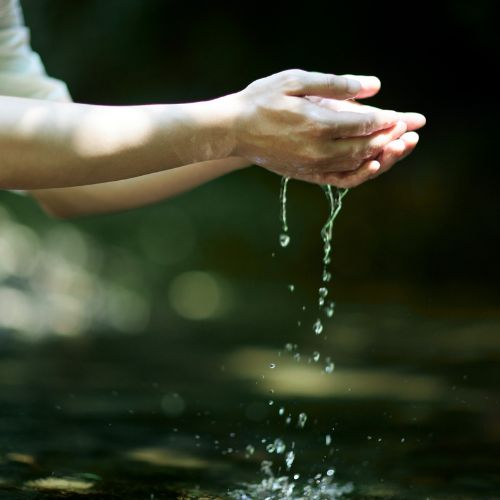 Non-Potable Water