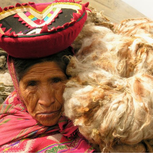 Tosatura Alpaca