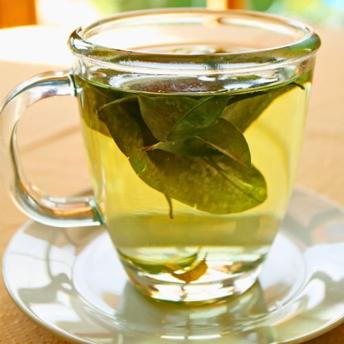 Mate De Coca