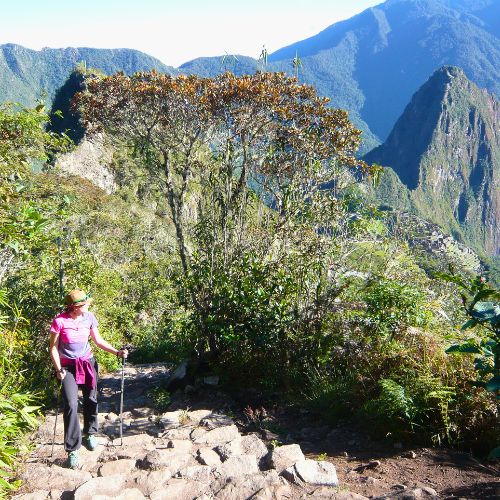Camino Inca