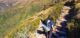Camino Inca