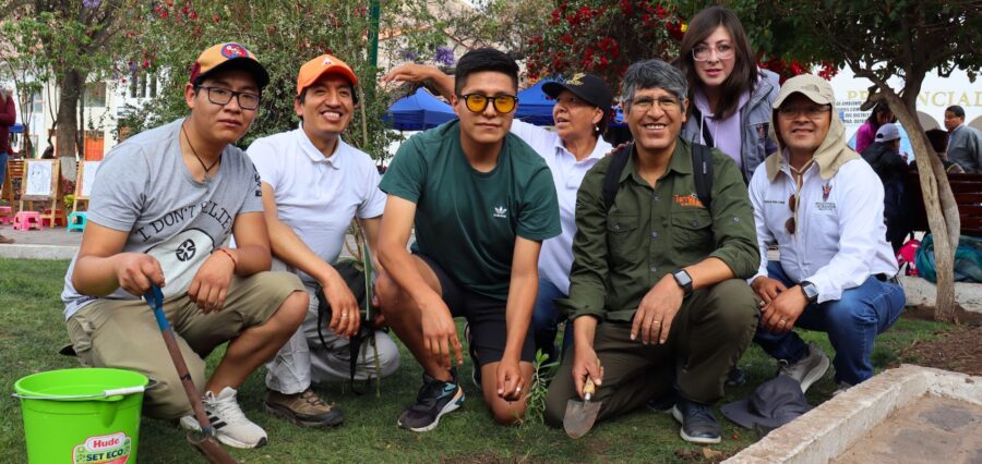 Proyecto Millon De Arboles